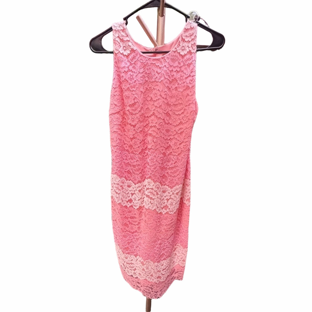 Alexia Admor Peaches & Cream Lace Sheath Dress size 8